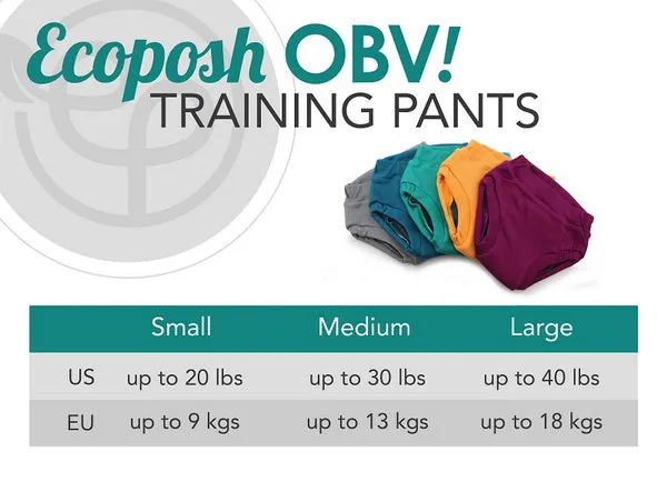 Ecoposh OBV Training Pants - Glacier