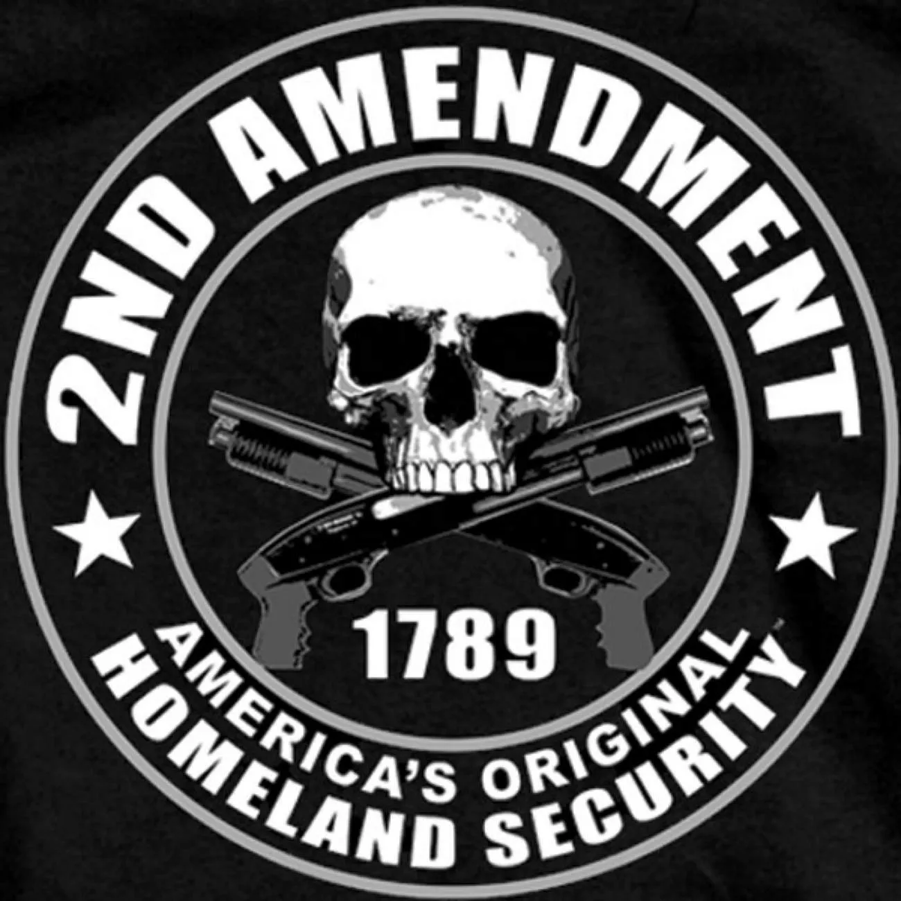 Hot Leathers GMD1158 Mens '2nd Amendment America's Original Homeland Security' Black T-Shirt