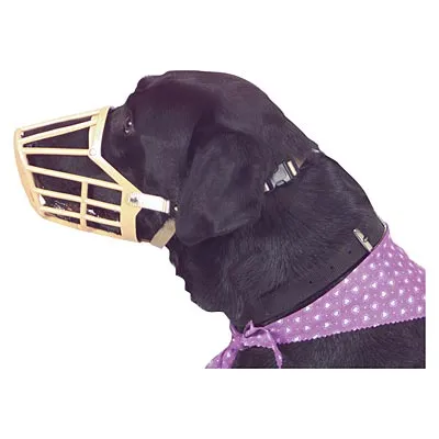 Jeffers Plastic Dog Muzzles