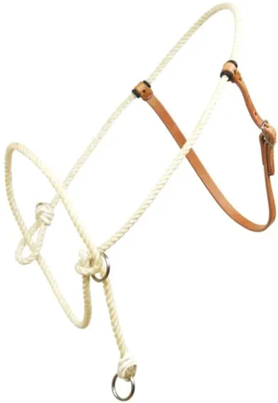 Training Halter